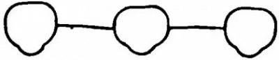 WILMINK GROUP wg1007859 -  Прокладка, впускной коллектор